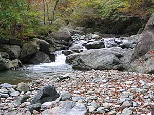 早戸川の川原到着