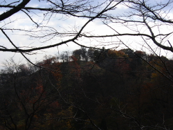 鳶尾山山頂