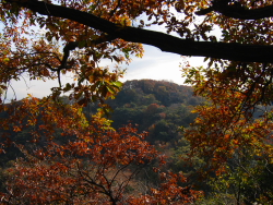 展望台の山