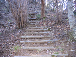 けっこうキツイ登り