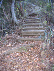 登り道