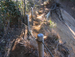 =削られる尾根道