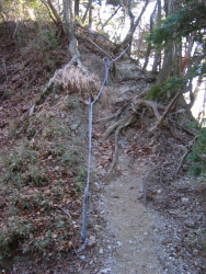 ほぼ垂直に見える登り