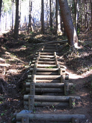 経ヶ岳山頂に向かう