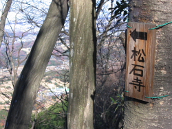 左には松石寺に下りていくルートがある