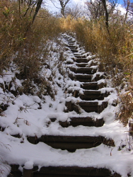 雪の階段