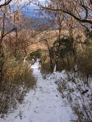 雪の階段を振り返って