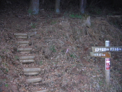 登山道終わり