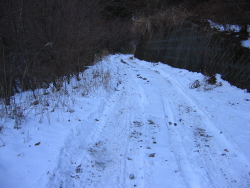 雪の西沢林道