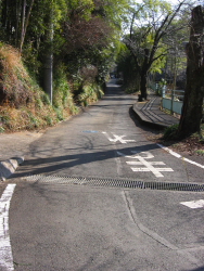 静かな車道歩き