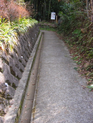 ここから山道