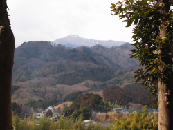 大山がよく見える