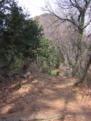 向こうに見えるのが白山か？