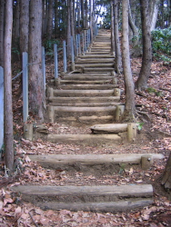 またまた、急な丸太階段