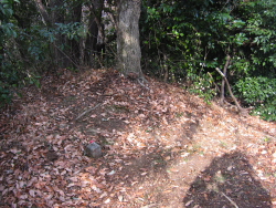 左にも踏跡があるが右に進む