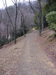 公園内を進む