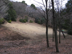 芝生の広場