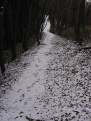 黍殻山に向かう