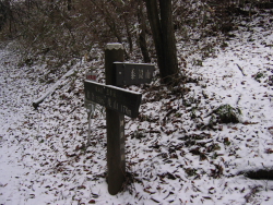 黍殻山への分岐