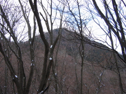 振り返ると黍殻山