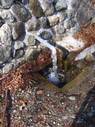 水場があった