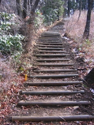 山頂直下の丸太階段を登ると・・・