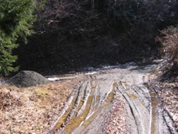 山腹周遊道路にぶつかった