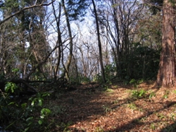 仙洞寺山山頂全景