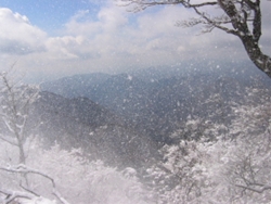 おぉ！　目の前真っ白