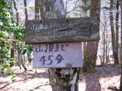 山頂まで45分