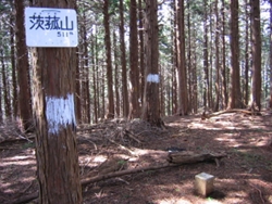 ・・・茨菰山の山頂到着