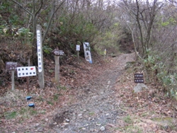 登山道まですぐ