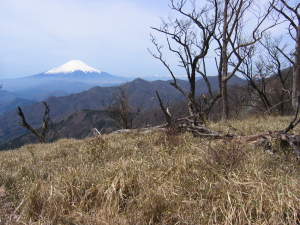 富士山がきれい