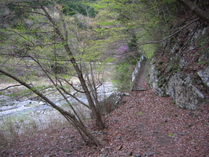 川の向こう側に出なければ・・・