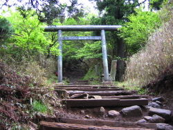 鳥居