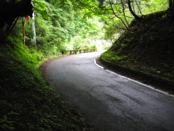 県道を進む