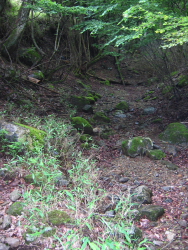 涸れた沢を何度か渡る