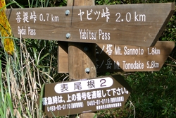 右に行くと富士見山荘経由でヤビツ峠