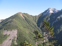 仙水峠からの尾根とそれに続く駒津峰、さらに甲斐駒ケ岳が一望出来る