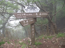 イタツミ尾根との合流