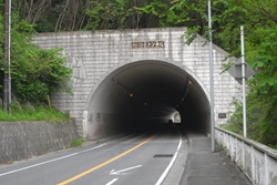 桜の木トンネル
