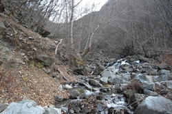 左側の崖をよじ登ります