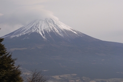 雄大な富士の姿を見ることが出来ました