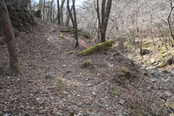 ちょっとした平坦地