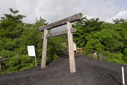 鳥居をくぐってスタート