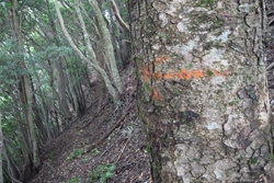 鍋嵐への矢印