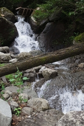 沢の水で手と顔を洗います