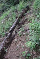 山道は自然に帰ろう