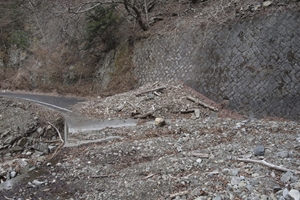 斜面から土砂が落ちてきて道路をふさいでいます