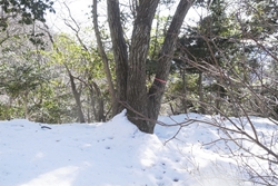 辺室山の山頂から伸びる尾根